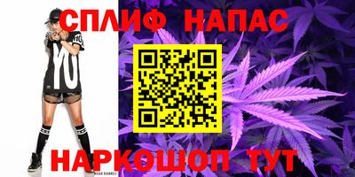 мет Новозыбков