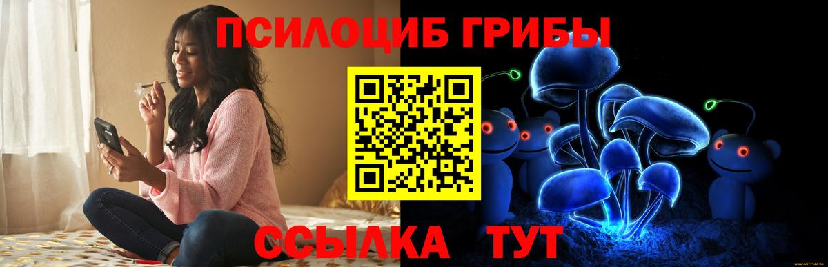 Псилоцибиновые грибы мицелий  Вход с VPN  цена   Бузулук 